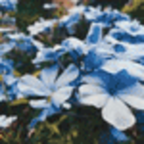 Move Your Body, Heal Your Mind