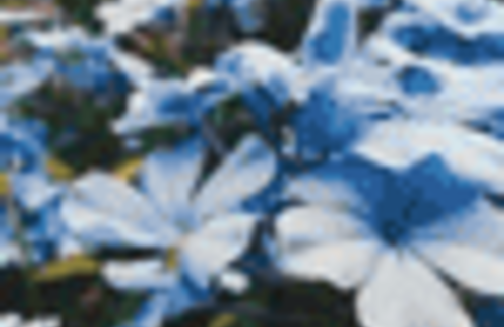 Move Your Body, Heal Your Mind